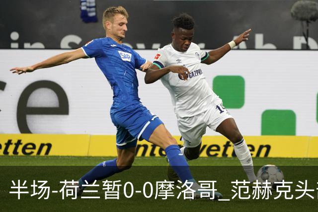 半场-荷兰暂0-0摩洛哥 范赫克头部屡遭重创血染赛场 费布吕亨神扑